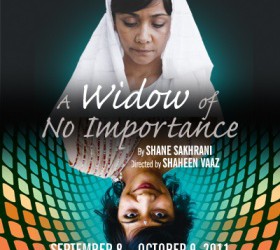 A Widow of No Importance Cast Interview