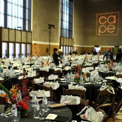 The Coalition of Asian Pacifics in Entertainment (CAPE) 20th Anniversary Gala