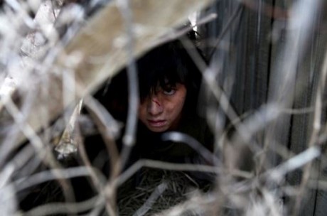 A WEREWOLF BOY – Newport Beach Film Festival Asian Showcase Spotlight Film